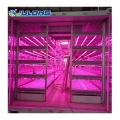 Smart Farm Shipping Container Plant Greenhouse