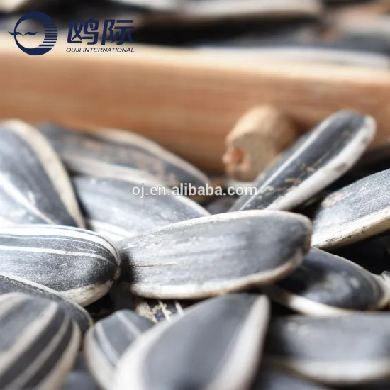 New crop sunflower seeds 601