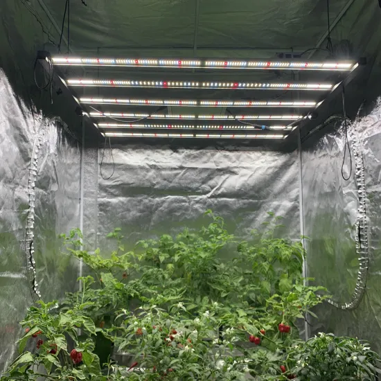 Samsung Foldable Full Spectrum LED Grow Light for Medical Plants (630W/700W/750W)