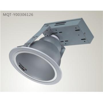 Recessed Vertical Downlight