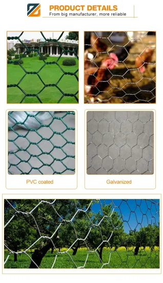 Lowest Price Galvanized Poultry Netting Hexagonal Chicken Wire Mesh