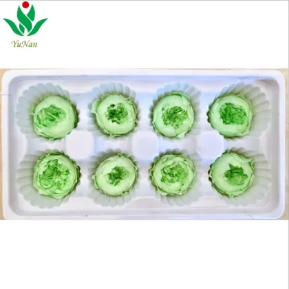 Wholesale Eternal Rose Austin Preserved Flower for Floral Arrangement