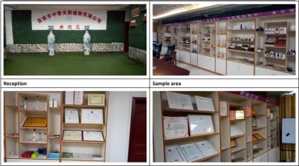 Wholesale Bulk Cold Pressed Alma Oil For Rejuvenating Scalp