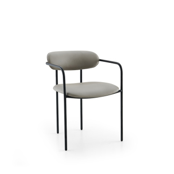 modern carbon steel dining chair