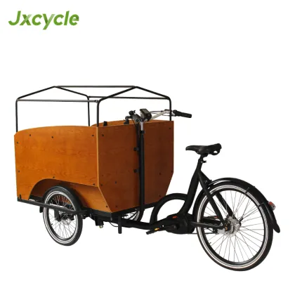 Electric Cargo Tricycle with Five Seats for Children