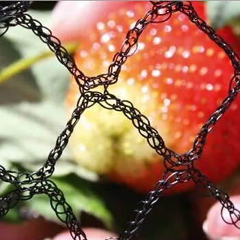 Strawberry Protective Planting Cage Net