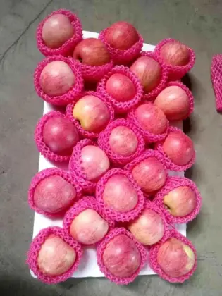 Paper Bagged Sweet Soft Qinguan Apples Fruits