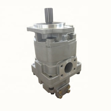 Volvo VOE11172358 Hydraulikpumpe