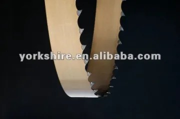 Food saw blade for cutting meat and fish