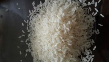 Vietnamese long grain fragrant rice-5451