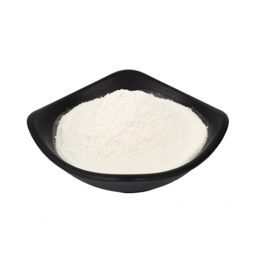 Succo di cipolla essiccato in polvere vegetale solubile in acqua