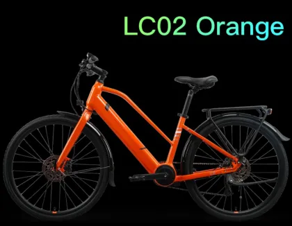 Customized Electric Trek Bike