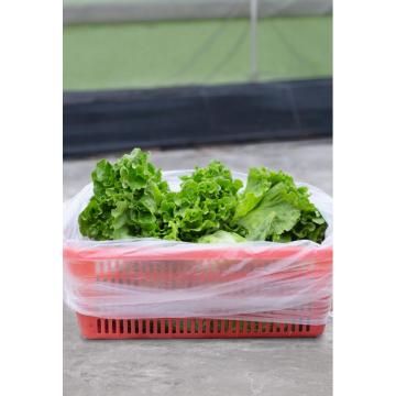 Plastic Bag for Vegetable