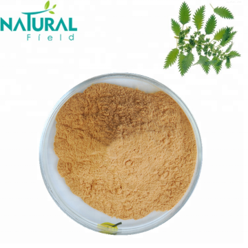 1% Beta-sitosterol Nettle Root extract Cas No. 83-46-5