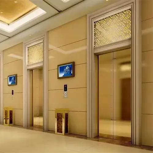 Customized Commercial Passenger Elevator - FUJI 450-1600kg Office Lift - Price Inquiry