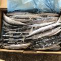 Saury enlatado em seu próprio suco com óleo