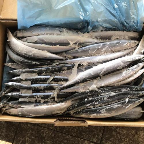 Saury Diasap Dalam Air Asin Dengan Minyak Kaleng