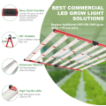 Farmer Lights LM301H/B/281B Comercial 800W LED Grow Light