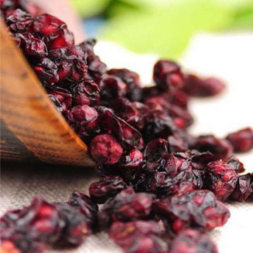 Hot Sell Top Quality Schisandra Extract Powder