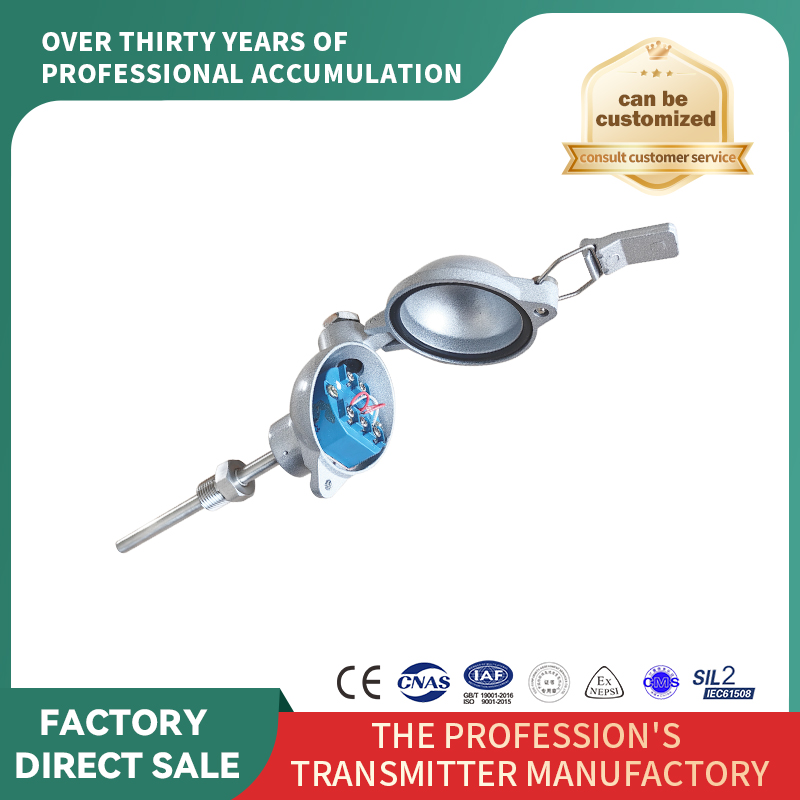 Senzor de termocuplu de tip snap-on personalizabil