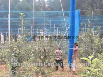 HDPE anti bird screen mesh net ,colorful pe knotless casting anti bird nettings