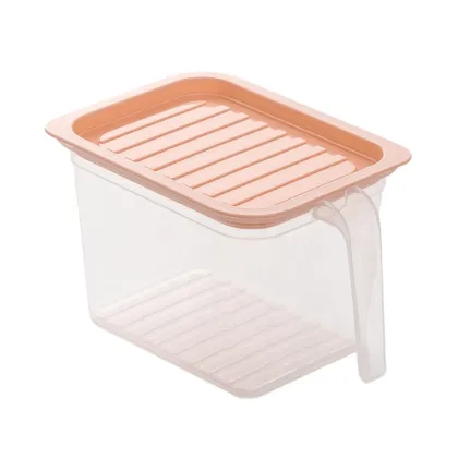 Organization Food Storage Container