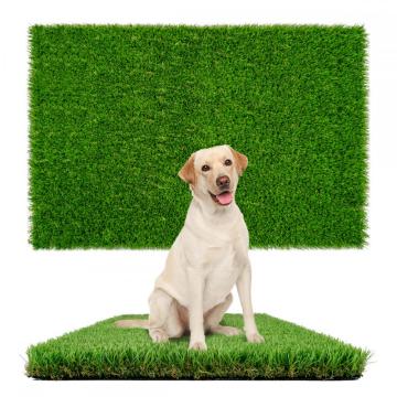 Green Carpet Grass Mat Искусственная трава для домашних животных