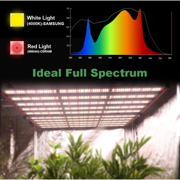 AGLEX 1000W augmente la lumière pour une utilisation en intérieur