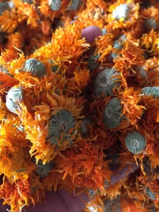 High Quality Calendula Herbal Dry Flowers Tea