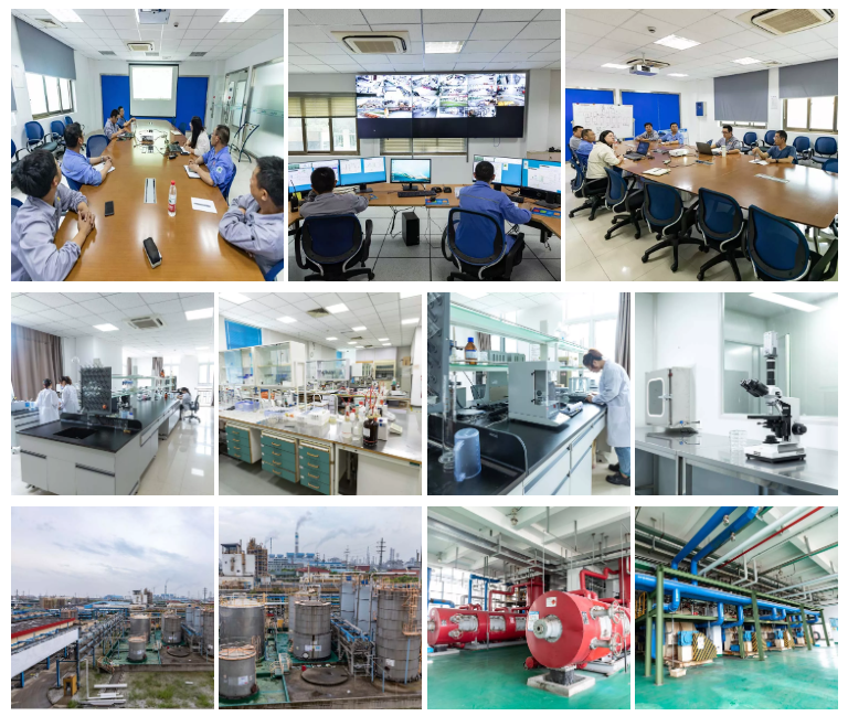 Hansstar Cmc Factory Overview Jpg