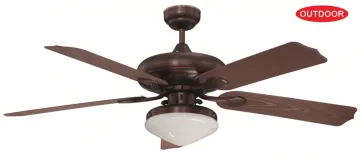 outdoor ceiling fan with light