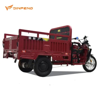 Big Battery 3-Wheel Electric Cargo Tricycle