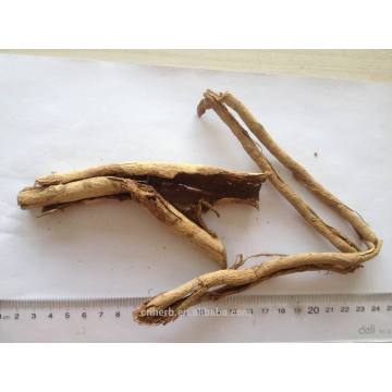 Dried magnolia root,Magnolia officinalis,Houpo magnolia,Hou po,Chinese medicine