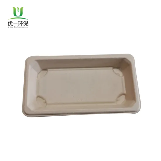Biodegradable disposable Sugarcane bagasse Serving trays