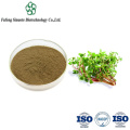 Machixian Extract: Revitalize Skin with Powerful Plant Extract