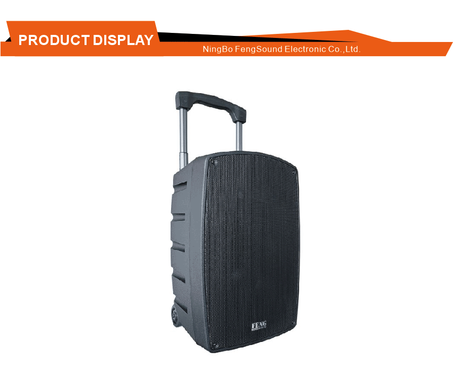 Portable Trolley Speaker with Screen