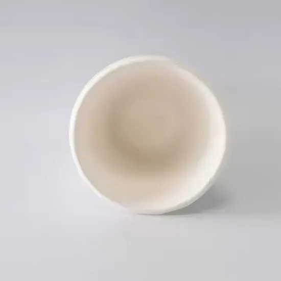 Coffee Cup from Renewable Plant Fibers