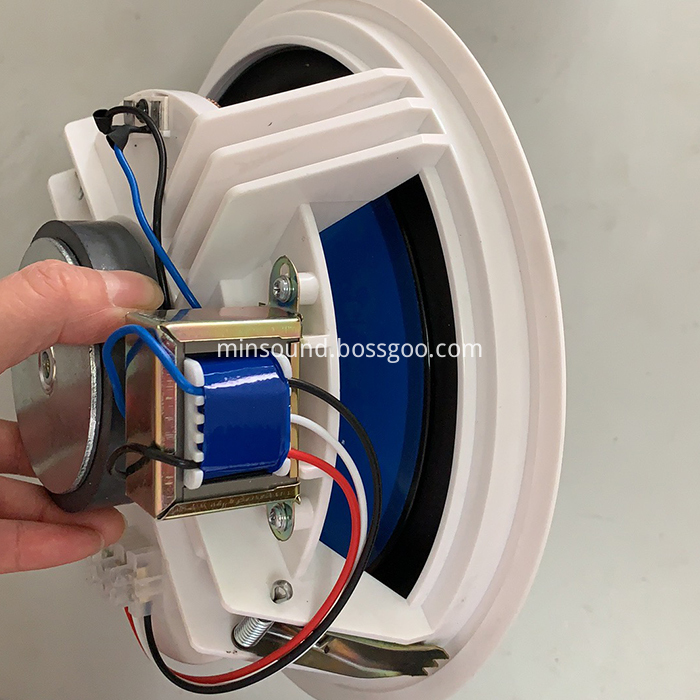 Nell'altoparlante del soffitto In Ceiling Speaker