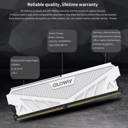 Gloway DDR5 32GB 6400MHz DIMM CL32 XMP Desktop RAM