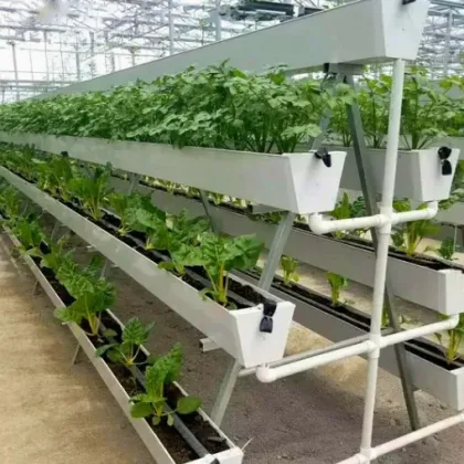 Custom NFT Channel for Hydroponics and Anti-UV PVC Gully