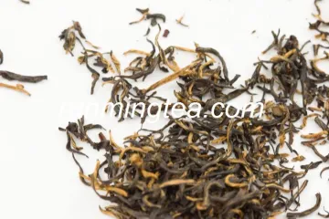 black tea fanning
