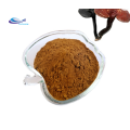 Best function cnidium monnieri extract powder fructus cnidii