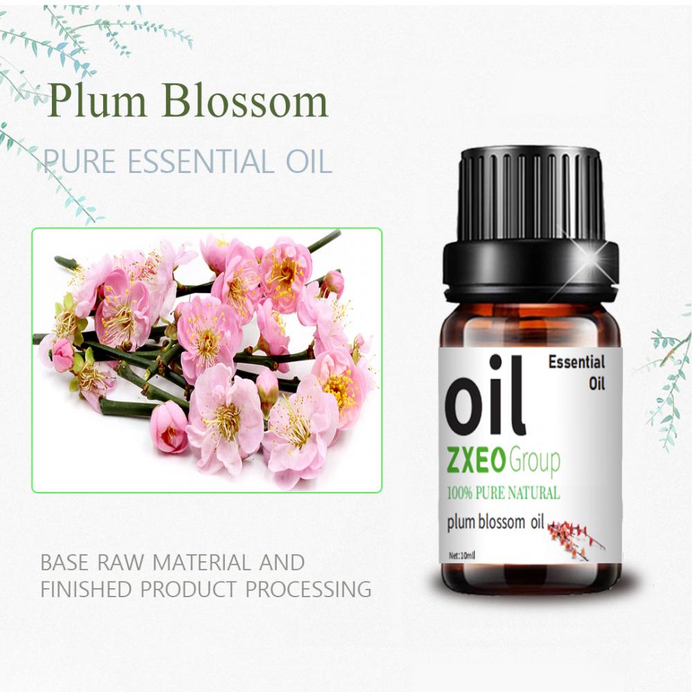 Plum Plum Plum Blossom Oil Massage Aroma