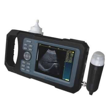 Günstiger Handheld -Veterinär -Ultraschall -Scanner