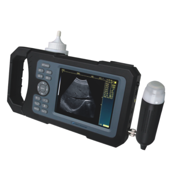 Cheap Handheld Veterinary Ultrasound Scanner