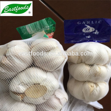 pure white garlic 5.5 up