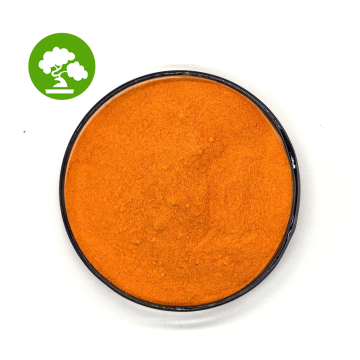 High Quality Water Soluble Coenzyme q10 Powder