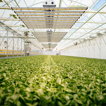 経済学植物のための導かれた成長キット8000​​ワット