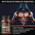 Capsules d'immuno-booster Fertility Tribulus terrestris