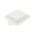 Biodegradable Disposable Bagasse Tableware Square Bagasse Plates